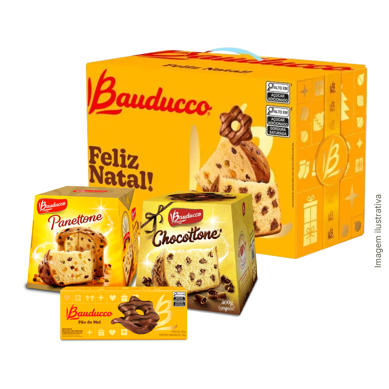 kitBauduco